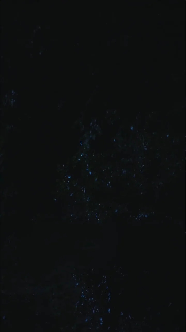 Episode 53